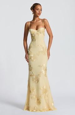Mirelle Corset Flare Maxi Dress