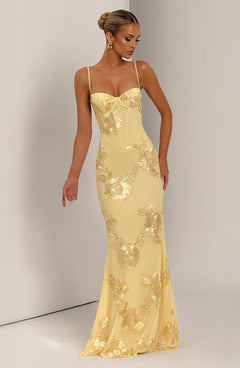 Mirelle Corset Flare Maxi Dress