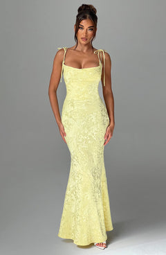 Nikky Floral Jacquard Maxi Dress