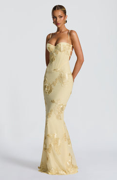 Mirelle Corset Flare Maxi Dress