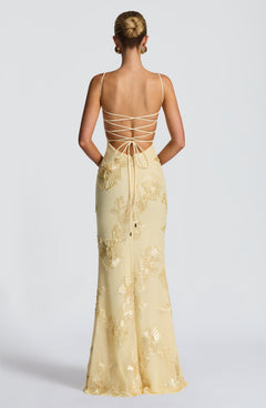 Mirelle Corset Flare Maxi Dress