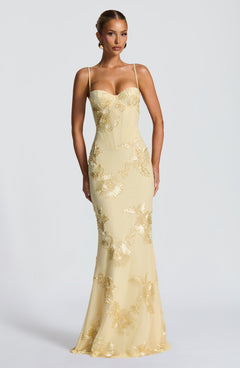Mirelle Corset Flare Maxi Dress